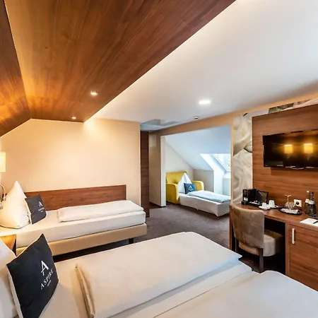 Aspire Castillo Reutlingen, Trademark Collection By Wyndham רויטלינגן