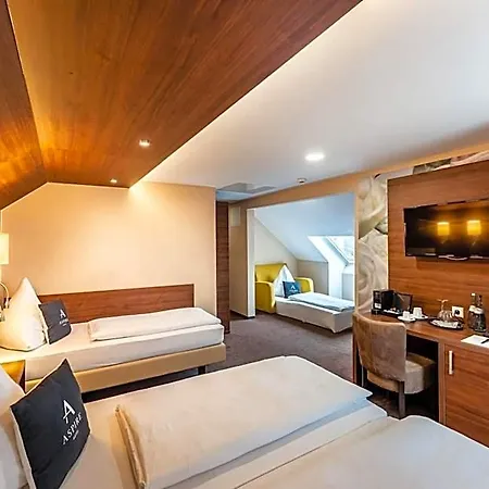 Aspire Castillo Reutlingen, Trademark Collection By Wyndham Hotel Reutlingen